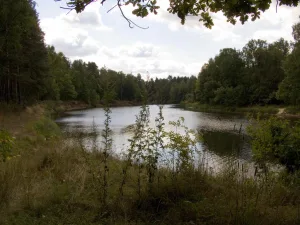 Керженец