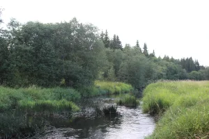 Семынь