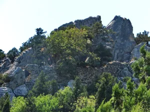 Панеа