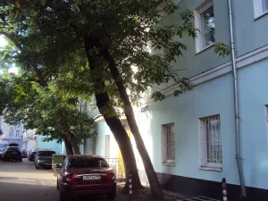 Флигель (службы восточные) (Красносельский)