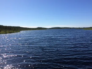 Сарсаярви