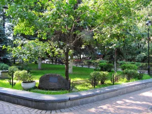 Сад Аквариум
