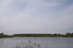 Парк с прудами (Ляхово)