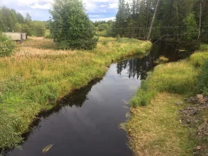 Рыбрека