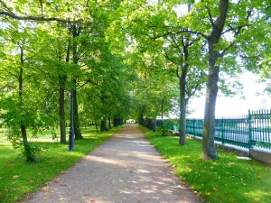 Петровский парк (Кронштадт)