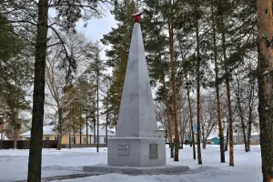 Обелиск воинам-землякам, погибшим в годы Великой Отечественной войны 1941 - 1945 гг. (Нижняя Омка)