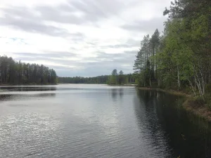 Сиркойнъярви