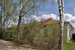 Конюшня (Сушнево-1)