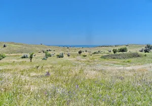 Kamianka, Kerch