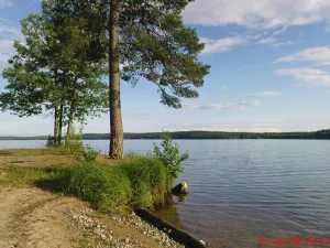 Лесогорское