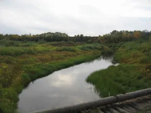 Чёлмохта
