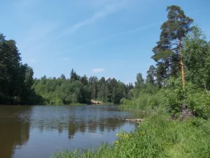 Сухая река