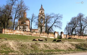 Петропавловская церковь (Нижний Шкафт)