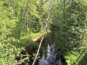 Койринйоки