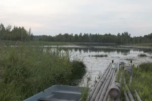 Велье (озеро, Опочецкий район)