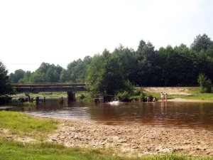 Курша