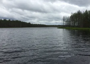 Куйккаярви