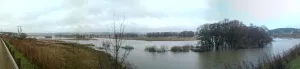 Боровна