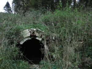 Грот (Горки Ленинские)
