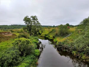 Кудеб