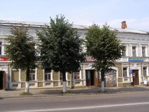 Дом Васильева (Владимир)