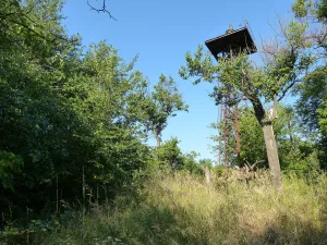 курган со смотровой вышкой