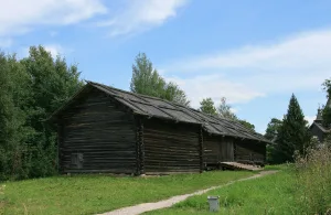 Гумно с ригой из д. Горбухино Пестовского района (Великий Новгород)