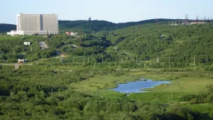 Варничное