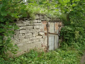 Кухня (погреб) (Тайцы)