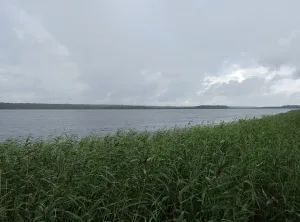 Падозеро