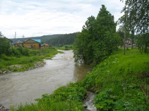 Кын