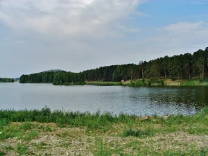 Поликарпов пруд