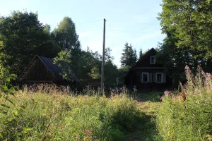 Усадьба "Горницы" (Горницы)