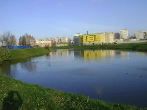 Новая