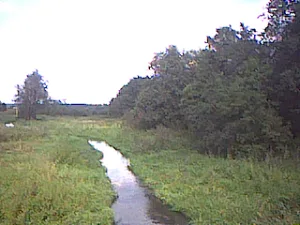 Шаловка