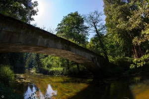 Красная река