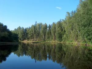 Подюга