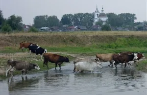 Церковь Троицы Живоначальной (Архангельское)