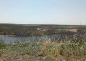 Парпач-Коль