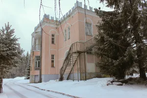Дом усадебный Таскинена (Лахденпохья)