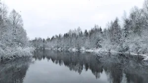 Смердье