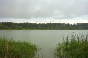 Большое Васильевское озеро