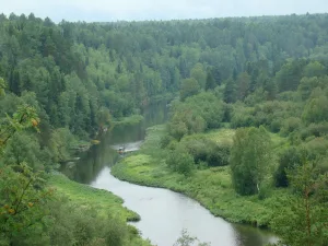 Серга