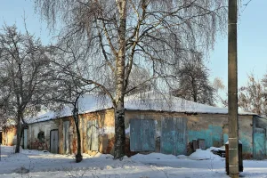Хозяйственные постройки (Владимир)