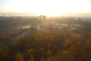 Сходненская чаша