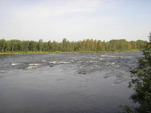Падунец