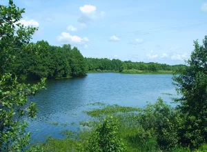 Шелубей (озеро)