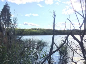 Латваярви (Лахденпохский район)