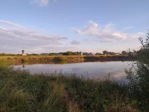 Байбарус