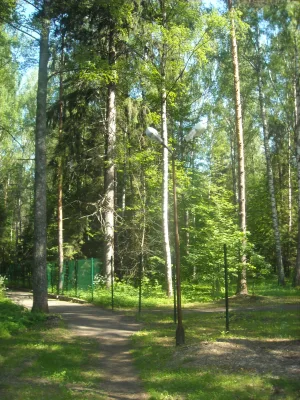 Парк при даче Дурдина (Кстово)